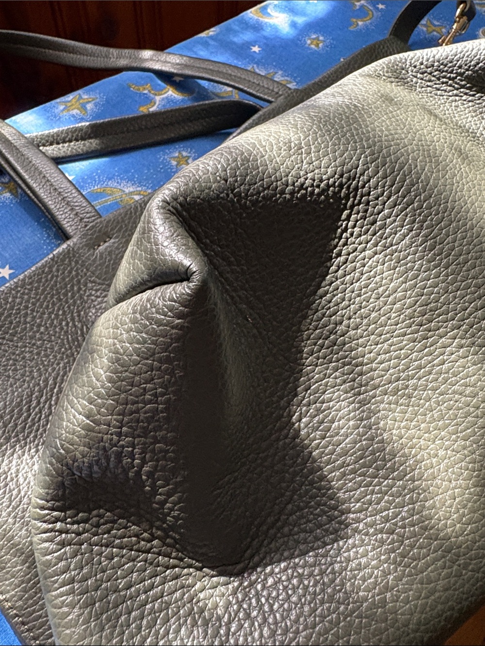 Cuyana Dark Green Leather Crossbody Tote - Picture 5 of 7